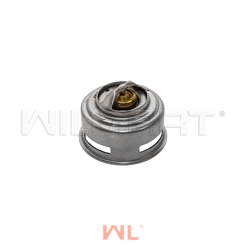 Термостат CY6102BG 76°C (1306H-010)