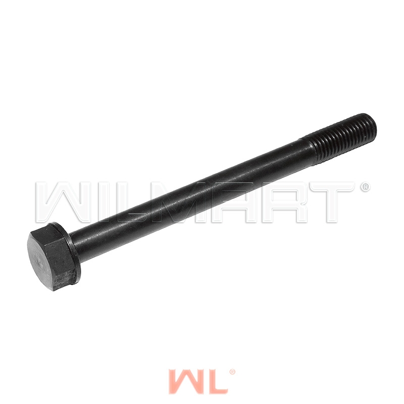 Болт ГБЦ HJ493  (1003014BB)