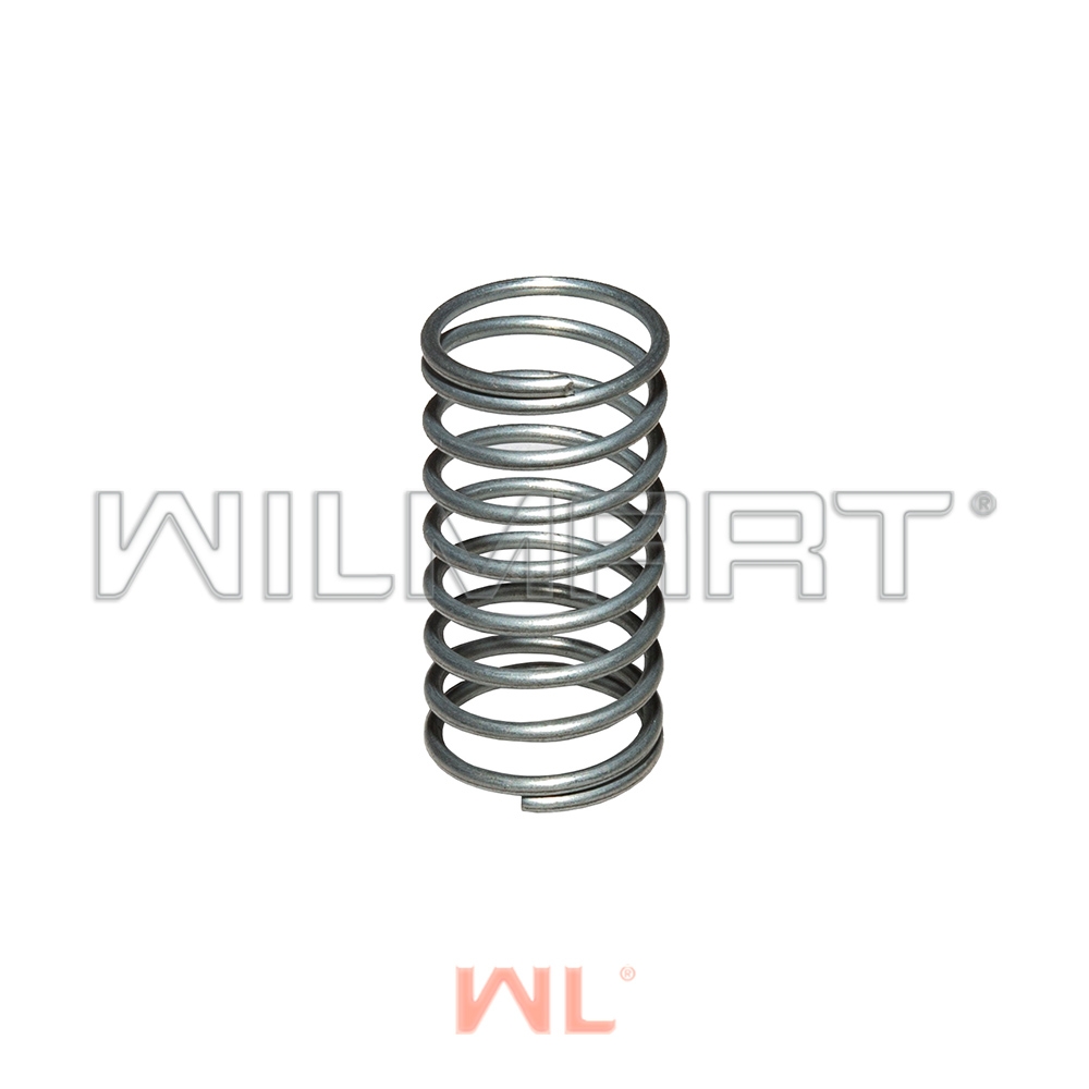 Пружина (G1134)