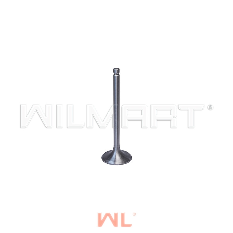 Клапан Xinchai 490BPG/4D27 впускной Ф41/ф8 (490B-03014)