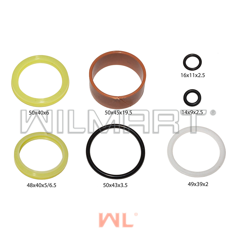 Ремкомплект цилиндра подъема левый/правый HC CPCD30R -2010  (N30U300-4/5-001-Kit )