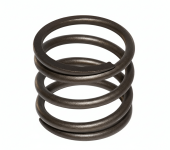 Пружина АКПП Nissan 1F2 (31521-41K00)