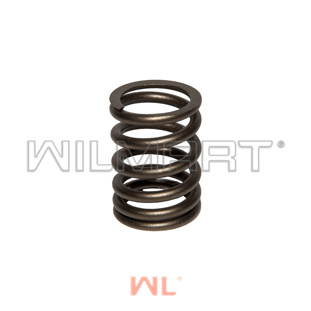 Пружина клапана HJ493 (1003013BB)