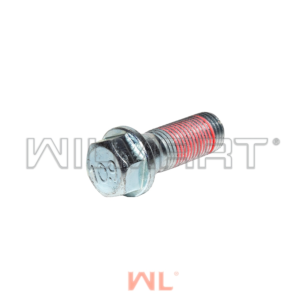 Болт крепления тормозного щита HC CPCD20-38 2014- (A300-110005-000)