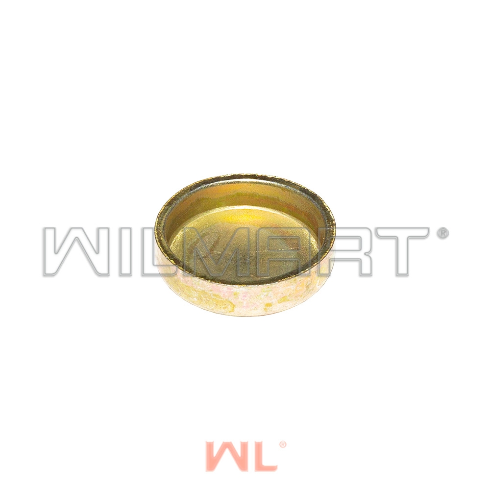 Заглушка Ф22 HJ493 ГБЦ  (1003105BB)