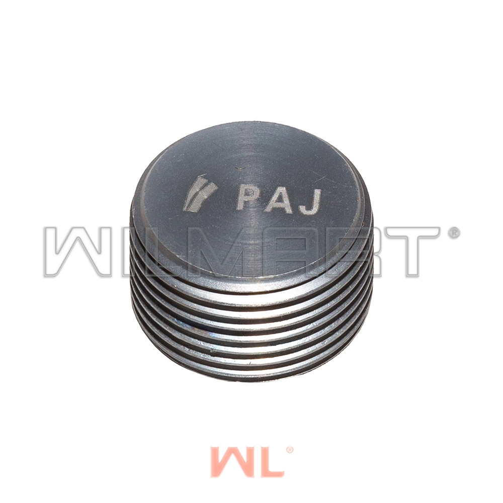 Заглушка блока Nissan (00931-21200)