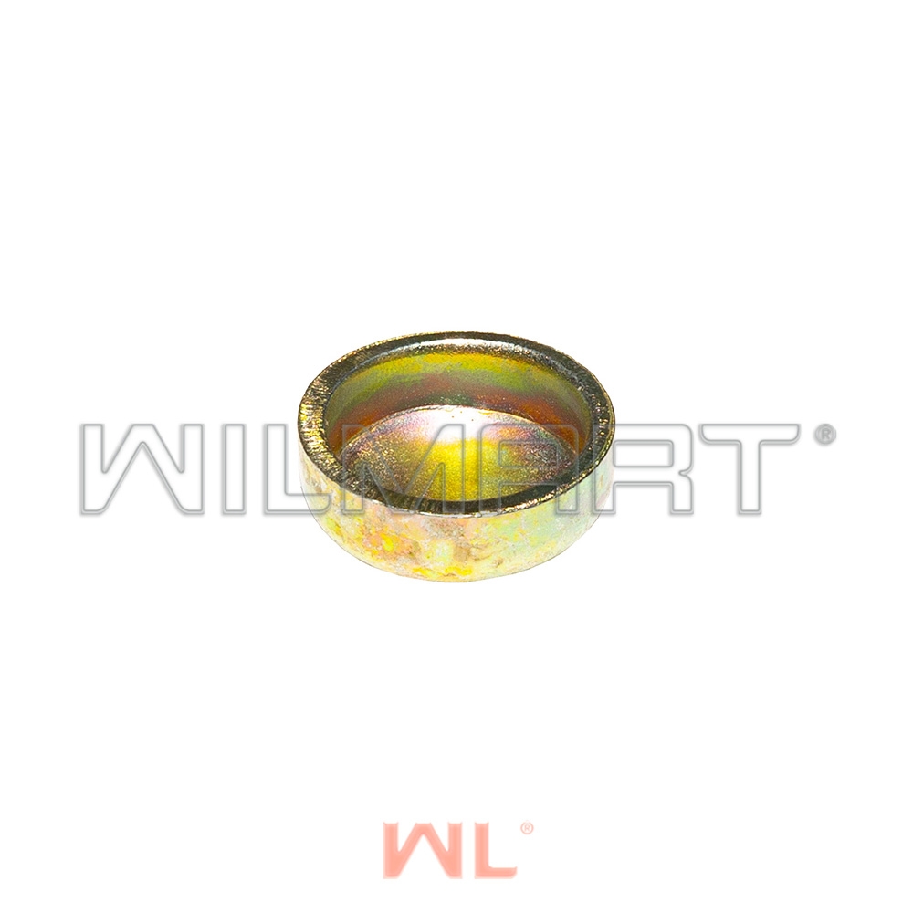 Заглушка Ф16 HJ493 ГБЦ/блок (1002111BB)