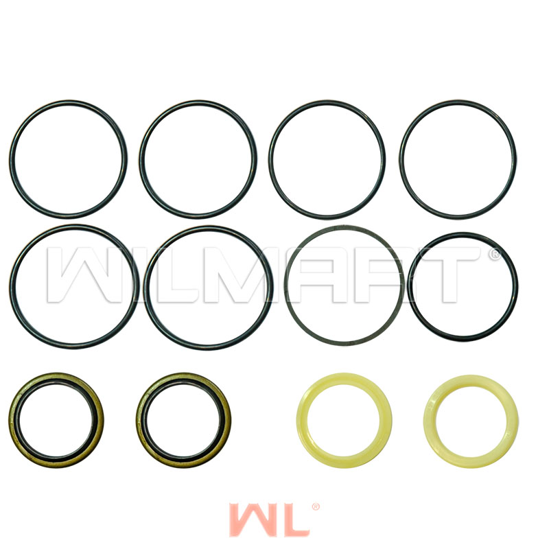 Ремкомплект ЦУ HC CPCD20-35 ф40 (R960-224-Kit)