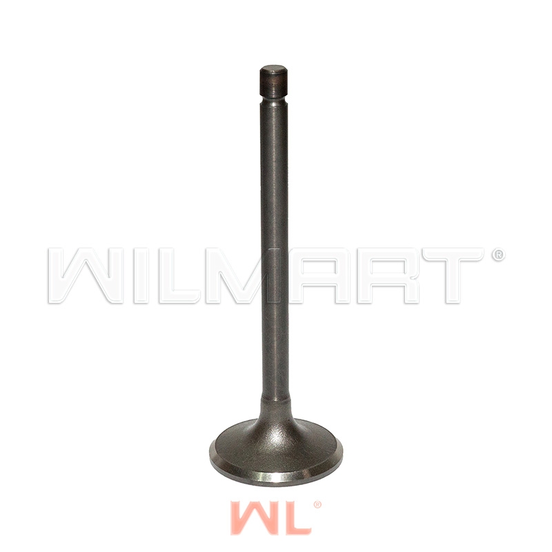 Клапан HJ493 впускной  (4JB1) (1003011BB)