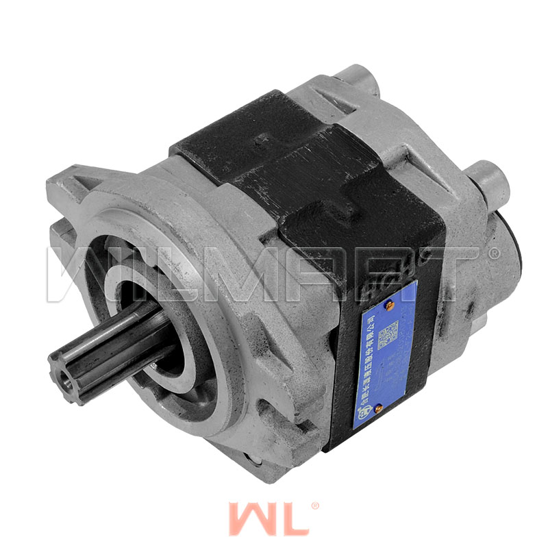 Насос гидравлический HANGCHA (HC) CPQD10-18(491GP) ПВх6шл  (CBHZ-F25-ALH6)