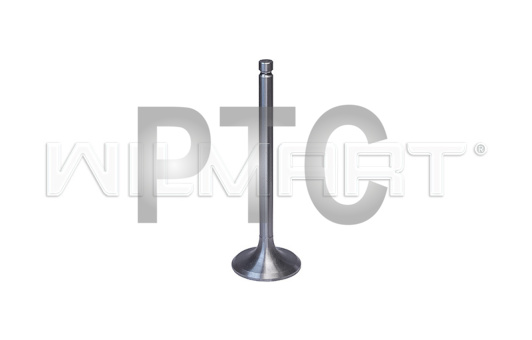 Клапан Xinchai 490BPG/4D27 впускной Ф41/ф8 (490B-03014)