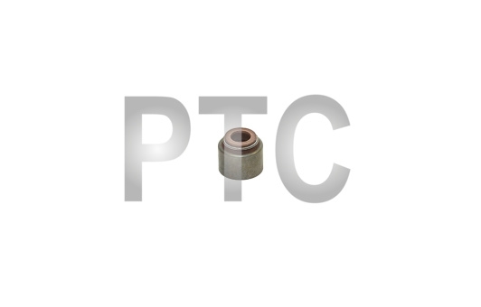 Маслосъемный колпачок Deutz CA498 (1007035-X2)