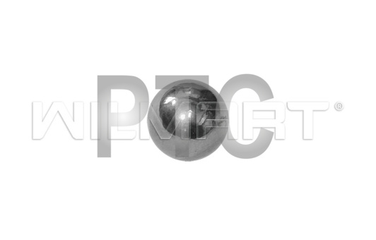 Шарик гидроузла опорный для гидравлической тележки (рохли) DF25 (341(niuli)sh)