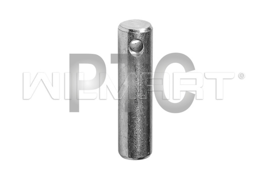 Ось ролика нажимного DF25 для гидравлической тележки (рохли) DF25 (303(niuli)oc)