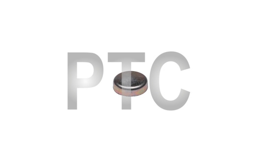 Заглушка Deutz CA498 Ф24 ГБЦ (1003028-X2)