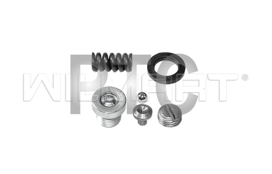 Клапан в сборе - 2 для гидравлической тележки (рохли) DB20 (41, 42, 43, 44, 45, 46 Db)