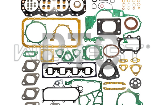 Комплект прокладок двигателя Nissan QD32 (10101-01D28)