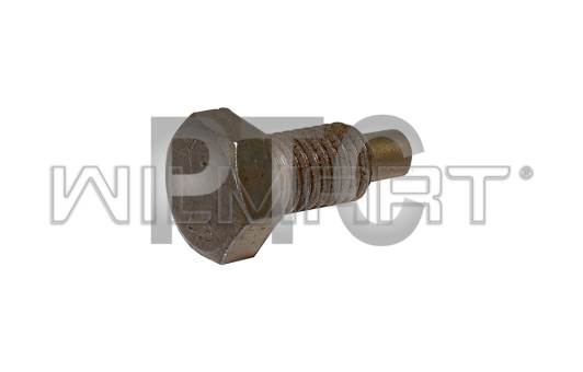 Болт шкворня фиксирующий HC CPCD40-50 с гайкой (40D-410014)