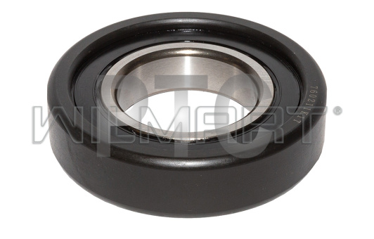 Ролик мачты Goodsense d109,9хd55хS29/21