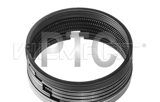 Кольца поршневые Xinchai 495BPG (к-т на двс) (495B-04002/3/101/2/3)