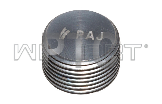 Заглушка блока Nissan (00931-21200)