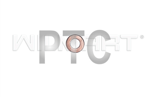 Шайба форсунки Deutz CA498 (1112033-F51Q)