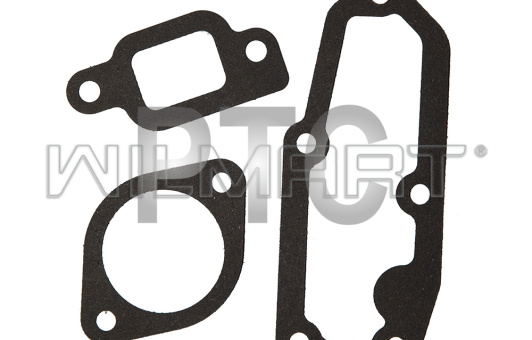 Прокладка крышки термостата HJ493 (к-т) (1306012BB)