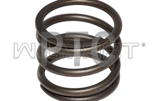 Пружина АКПП Nissan 1F2 (31521-41K00)