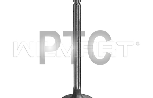 Клапан Xinchai 495BPG впускной Ф42/ф8 (495B-03014)