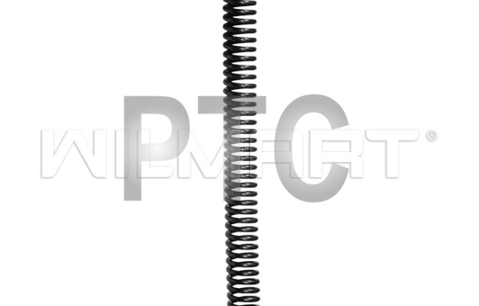 Пружина блока управления АКПП TCM (15583-82421)