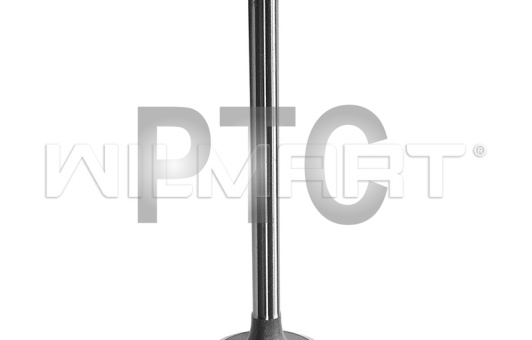 Клапан LuoTuo 4105/4108 (LR4B3/LR6B3) впускной ф44 (R010001Y)