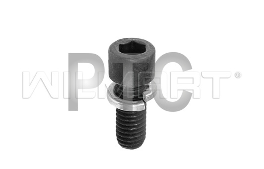 Болт с гравером в сборе для гидравлической тележки (рохли) DF25 (107106 niuli b)