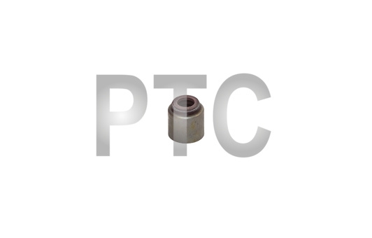 Маслосъемный колпачок CY6102BG (6102B.01.50A)