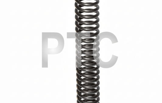 Пружина гидроблока АКПП Nissan 1F2 (31755-FC001)