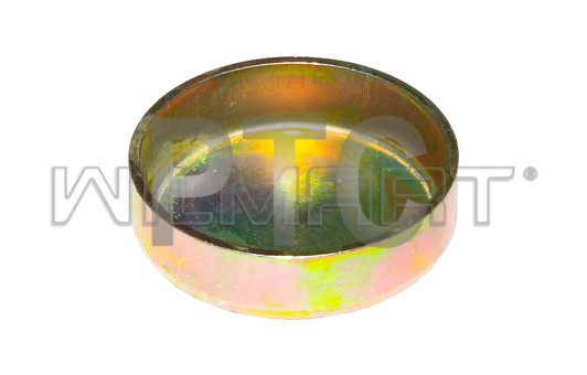 Заглушка Deutz CA498 Ф35 ГБЦ (1003027AX2)